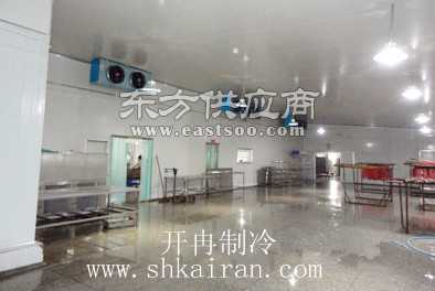 大型海鮮冷凍冷庫工程造價(jià)預(yù)算與建筑安裝工程解析